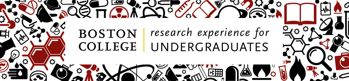 Boston College Research Experience for Undergraduates